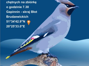 Zimowe Ptakoliczenie w Nadpilicznych Parkach Krajobrazowych 2023, 